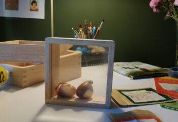 Magnification-Blocks-Guidecraft